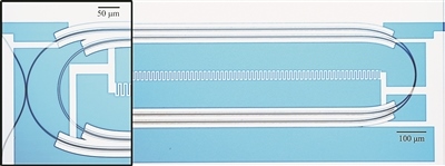 微波光量子傳感器的光學(xué)顯微照片。圖片來(lái)源：美國(guó)哈佛大學(xué)