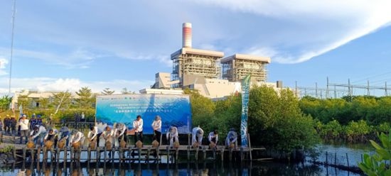 5月18日，中印尼嘉賓在爪哇7號(hào)燃煤電站舉行紅樹林補(bǔ)植儀式。記者 曹凱 攝
