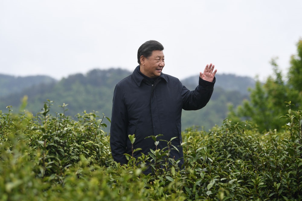 2020年4月21日，習近平總書記來到陜西安康市平利縣老縣鎮(zhèn)，在茶園考察脫貧攻堅情況。新華社記者 燕雁 攝
