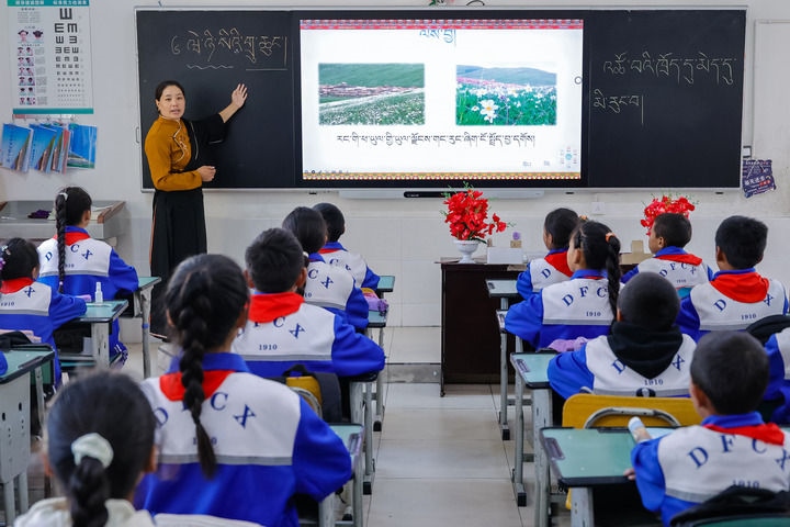 2024年9月27日，在四川省甘孜藏族自治州道孚縣城關(guān)第一完全小學(xué)，采取“藏加模式”教學(xué)的五年級(jí)一班的藏語文課上，準(zhǔn)木周老師指導(dǎo)藏族學(xué)生以家鄉(xiāng)草原風(fēng)物為主題寫作藏語文作文。新華社記者 沈伯韓 攝