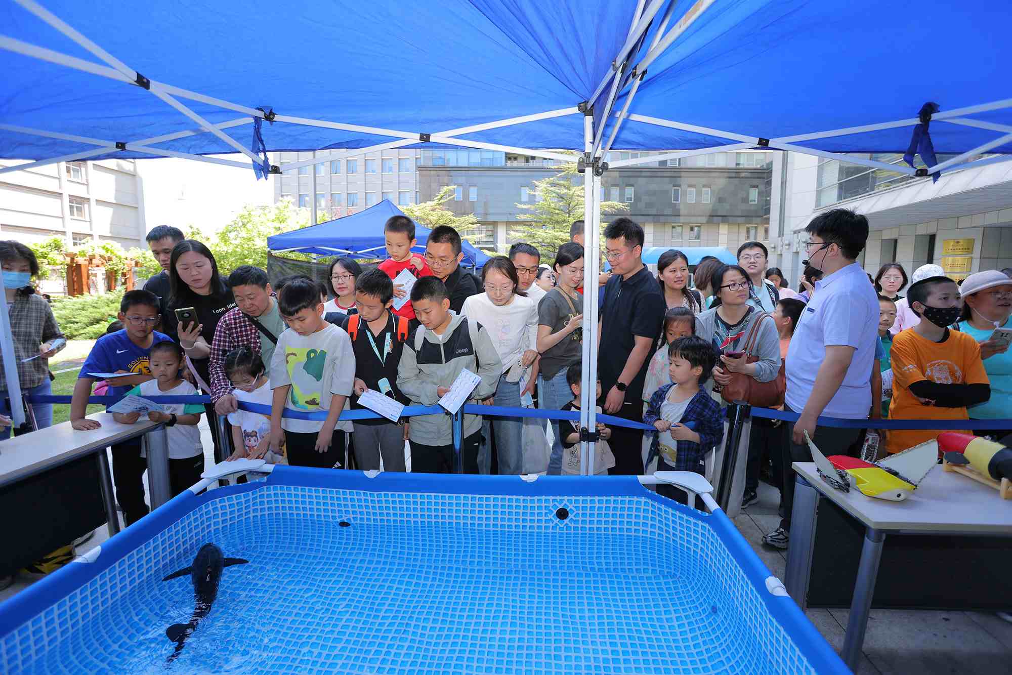 水下仿生機器魚在活動現(xiàn)場大受歡迎。中國科學院自動化研究所供圖